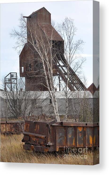 Copper Canvas Print featuring the photograph Copper Boom by Jim Simak