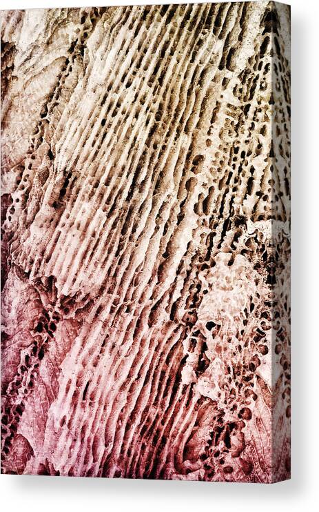 Coral Canvas Print featuring the photograph Coral Rock Close Up by Photography By Sai