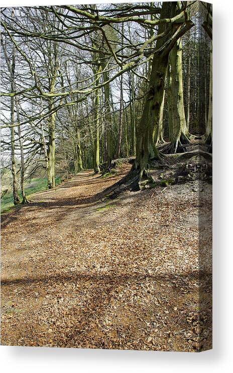 Cotton Canvas Print featuring the photograph Cotton Dell - Staffordshire by Rod Johnson