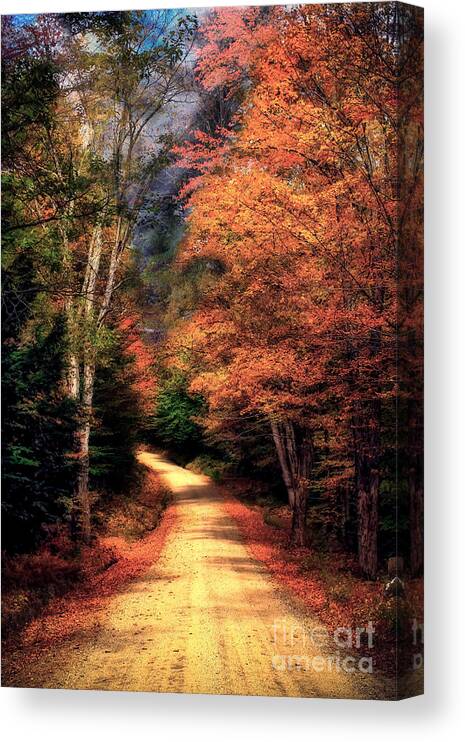 Fall Foliage Canvas Print featuring the photograph Country Road by Brenda Giasson