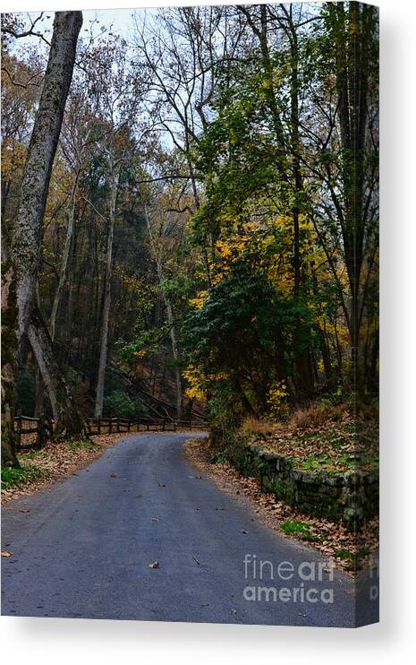 Paul Ward Canvas Print featuring the photograph Country Road by Paul Ward