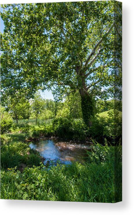 Glade Canvas Print featuring the photograph Country Tranquility by Jim Moore