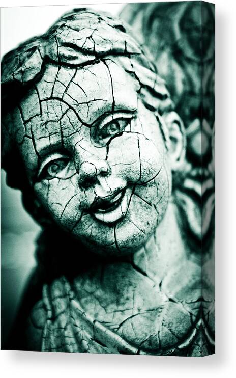Cracked Canvas Print featuring the photograph Cracked by Off The Beaten Path Photography - Andrew Alexander
