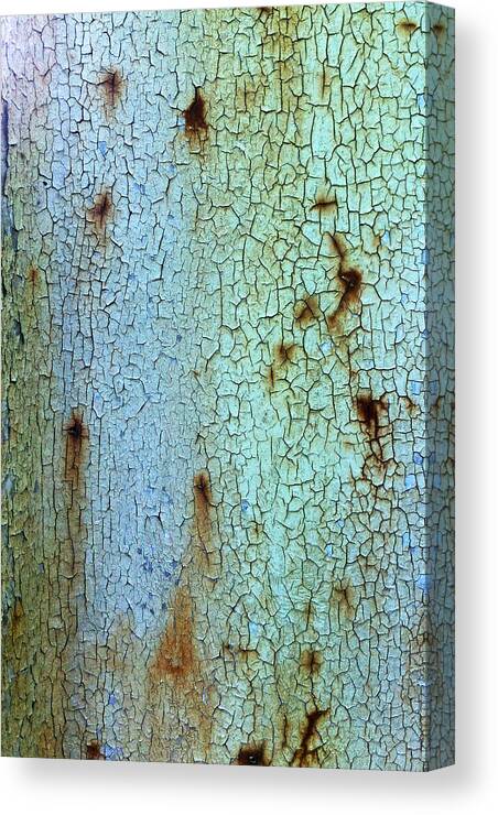 Cracked Canvas Print featuring the photograph Crackled Case by Nicklas Gustafsson