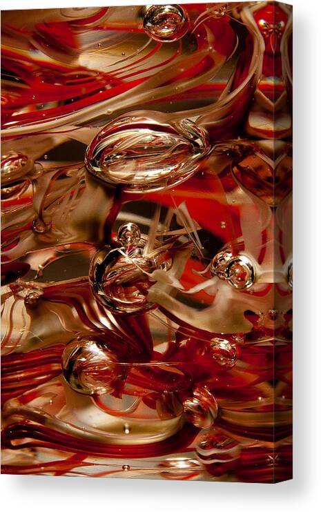 Glass Canvas Print featuring the photograph Crimson and Gray Glass Macro WS2 by David Patterson