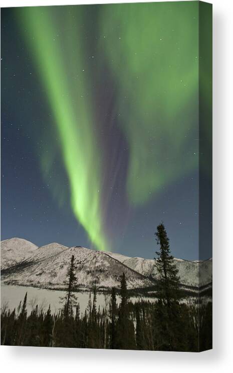 Alaska Canvas Print featuring the photograph Curtains Of Aurora Borealis Dance by Hugh Rose