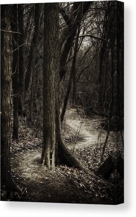 Path Canvas Print featuring the photograph Dark Winding Path by Scott Norris