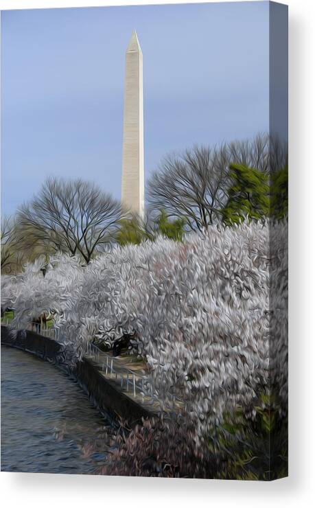 Cherry Blossoms Canvas Print featuring the digital art DC Blossoms by Kelvin Booker