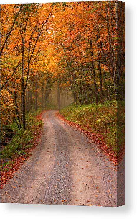 Autumn Canvas Print featuring the photograph Deep Autumn Forest Road by Harold Rau