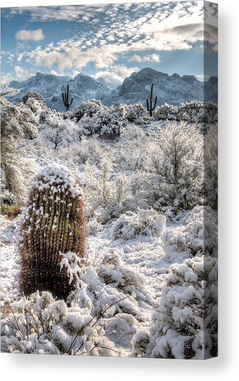 American Southwest Canvas Print featuring the photograph Desert Snow by James Capo