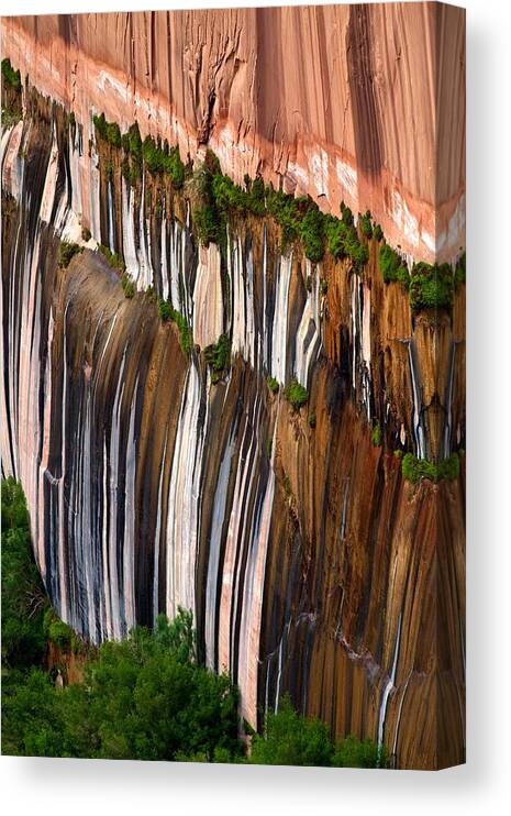 Desert Varnish Canvas Print featuring the photograph Desert Varnish by David Beebe