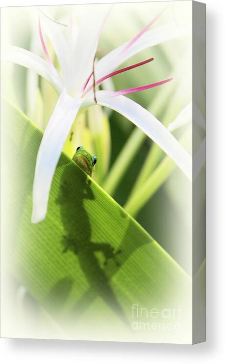 Gecko Canvas Print featuring the photograph Do You Mind by Ellen Cotton