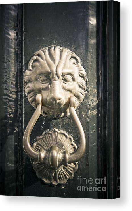 Abstract Canvas Print featuring the photograph Door Knocker by Maria Heyens