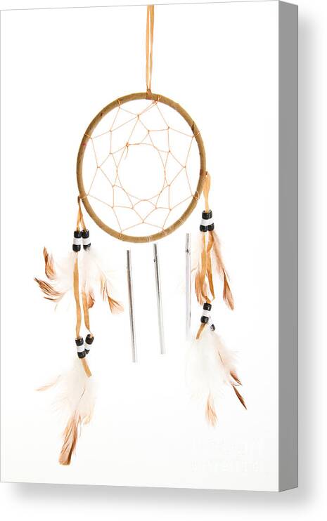 Still Life Canvas Print featuring the photograph Dream Catcher by Photo Researchers