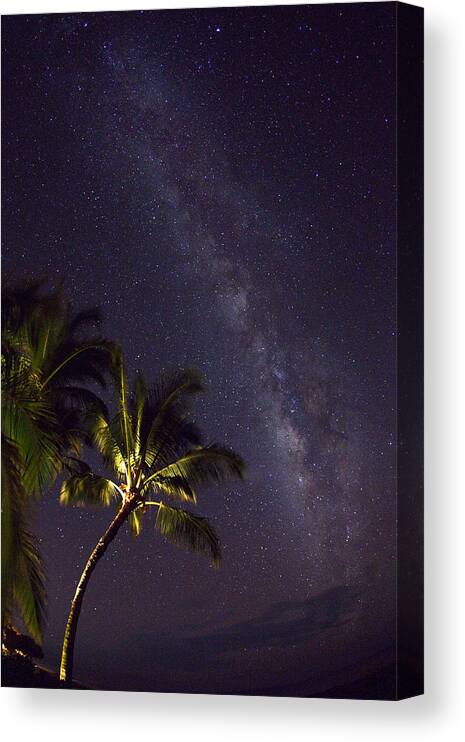 Maui Hawaii Palmtrees Milky Way Stars Canvas Print featuring the photograph Dreamin Of Maui by James Roemmling
