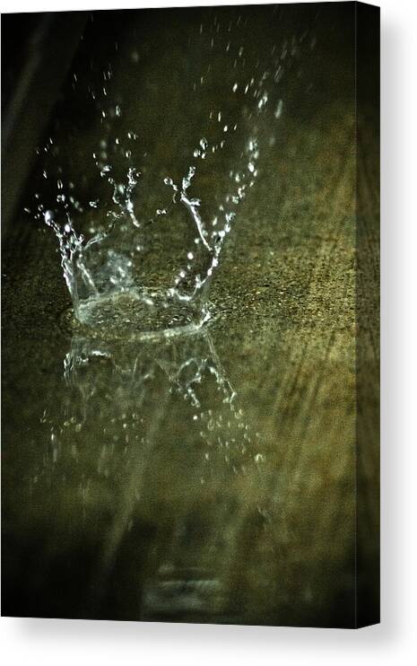 Water Canvas Print featuring the photograph Drip Drop Splash by Joel Loftus