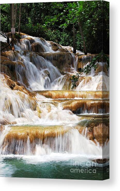 Waterfall Canvas Print featuring the photograph Dunn Falls by Hannes Cmarits