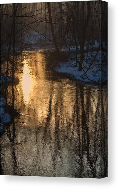 Winter Canvas Print featuring the photograph Early Winter Morning by Karol Livote