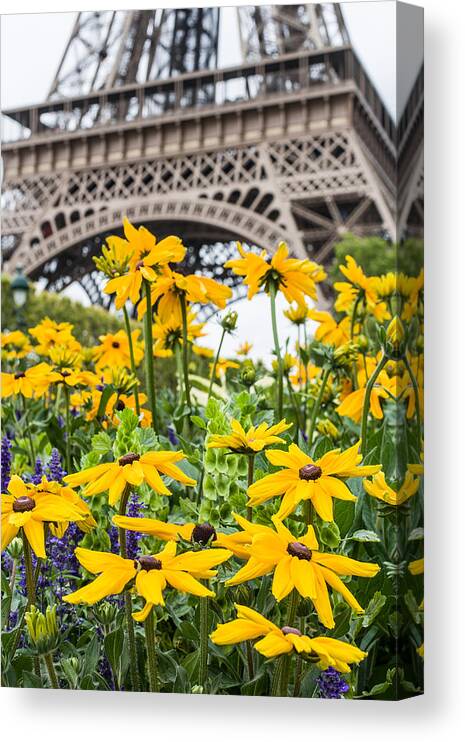 Eiffel Canvas Print featuring the photograph Eiffel Flower by Nigel R Bell