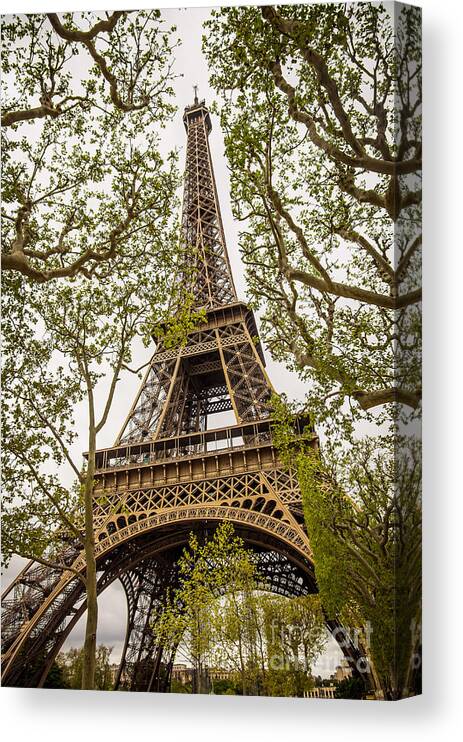 Architecture Canvas Print featuring the photograph Eiffel Tower by Carlos Caetano