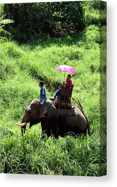 Working Animal Canvas Print featuring the photograph Elephant Picnic On Thailands National by John W Banagan