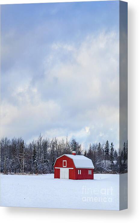 Bar Harbor Canvas Print featuring the photograph Embrace The Cold by Evelina Kremsdorf