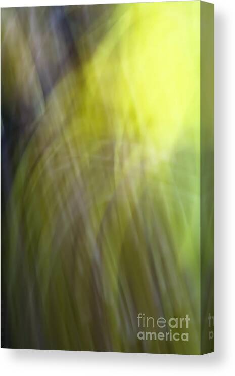 Speed Canvas Print featuring the photograph Empedocles 2 by Joel Loftus