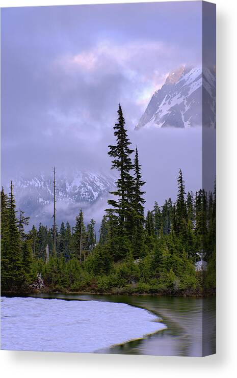 Nature Canvas Print featuring the photograph Enduring Winter by Chad Dutson