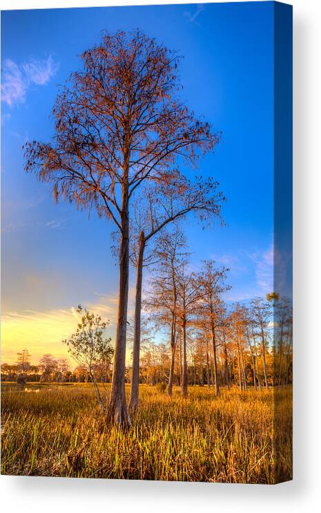 Clouds Canvas Print featuring the photograph Everglades at Sunset by Debra and Dave Vanderlaan