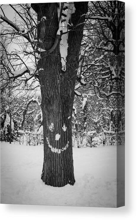 Winter Canvas Print featuring the photograph Face Of The Winter by Andreas Berthold