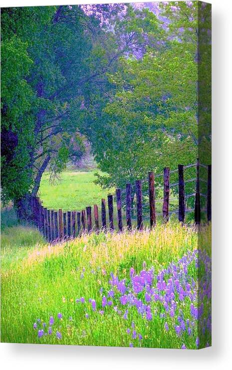 Fairy Tale Meadow Canvas Print featuring the digital art Fairy Tale Meadow With Lupines by Pamela Smale Williams