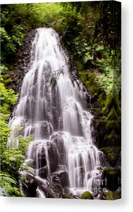 Fairy Falls Canvas Print featuring the photograph Fairy's Playground by Suzanne Luft