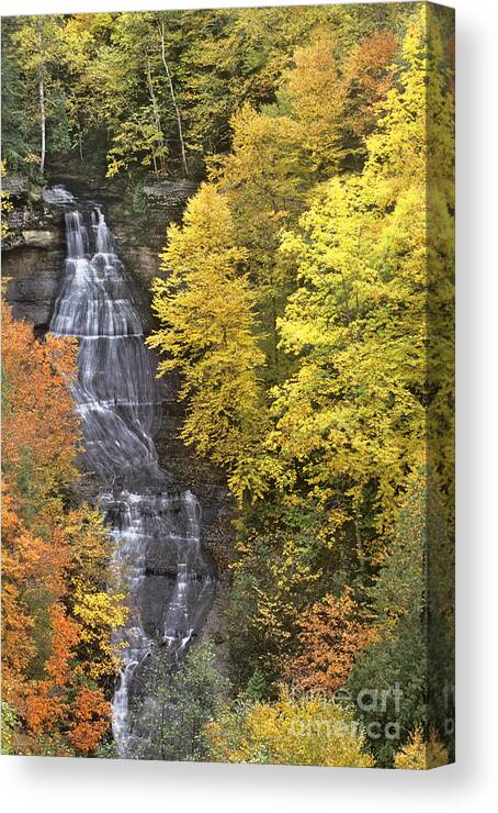 Michigan Canvas Print featuring the photograph Fall Color Surrounds Chapel Falls on the Michigan Upper Peninsula by Dave Welling