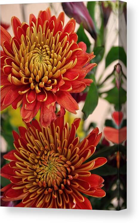 Fall Flowers Canvas Print featuring the photograph Fall Flowers by Lynn Jordan