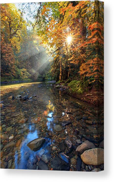 Fall Color Brice Creek Autumn Sun Star Rocks Trees Canvas Print featuring the photograph Fall Sparkle by Pamela Winders