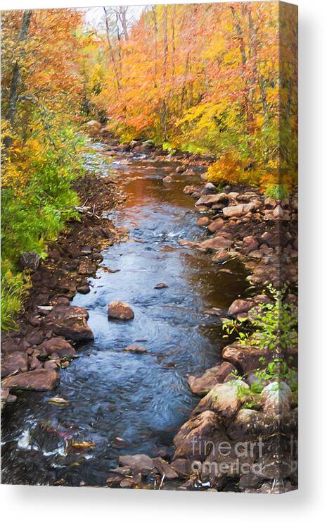 Minnesota Canvas Print featuring the photograph Fall Stream by Lori Dobbs