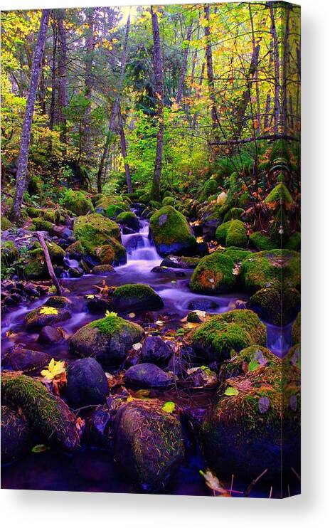 Rivers Canvas Print featuring the photograph Fallen Leaves On The Rocks by Jeff Swan