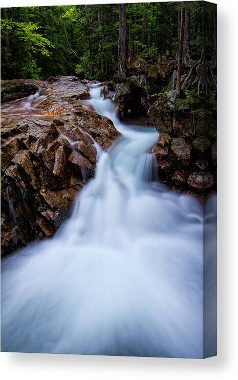Cascade Canvas Print featuring the photograph Falls In The Forest by Jeff Sinon