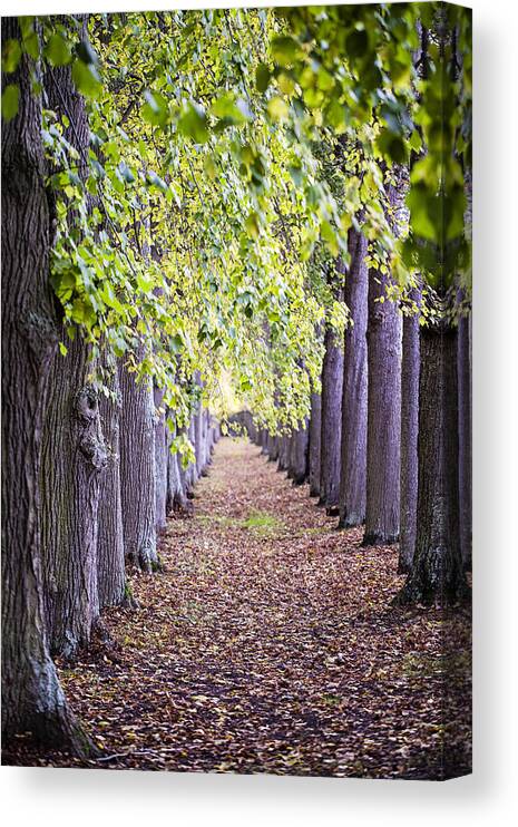 Landscape Canvas Print featuring the photograph Faraway So Close by Melanie Alexandra Price