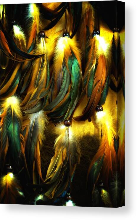 Newel Hunter Canvas Print featuring the photograph Feather Dancers by Newel Hunter