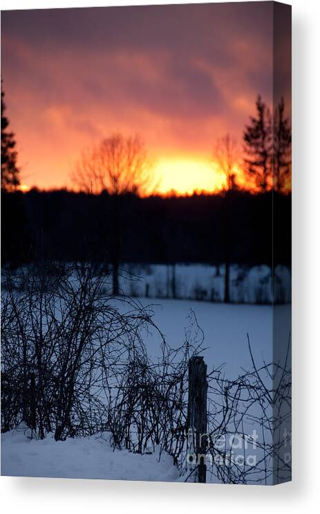 Sunset Sky Canvas Print featuring the photograph Fenced in Sunset by Cheryl Baxter