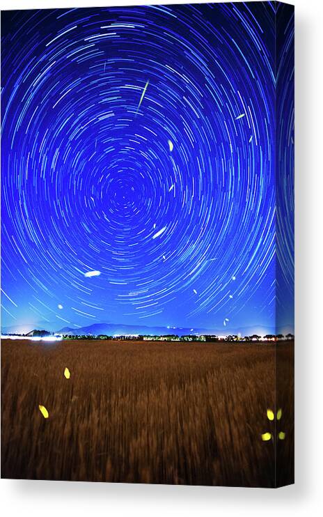 Grass Canvas Print featuring the photograph Fireflies Dancing by Mavroudakis Fotis Photography