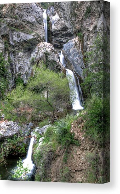 Waterfall Canvas Print featuring the photograph Fish Canyon Falls by Eddie Yerkish