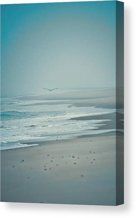 Seagull Canvas Print featuring the photograph Flight of Tranquility and Peace by Beth Venner