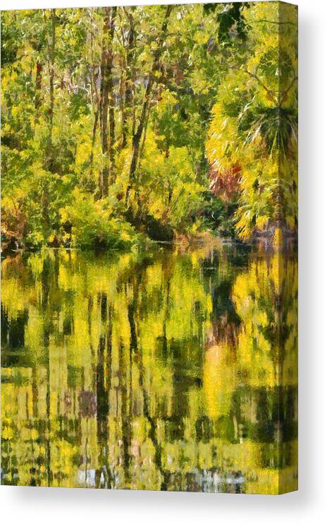 Silver Canvas Print featuring the painting Florida Jungle by Alexandra Till