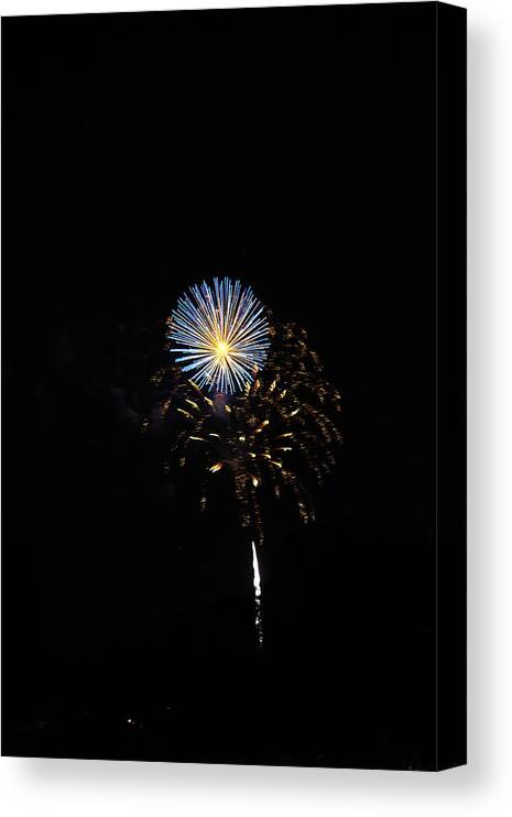 Fireworks Canvas Print featuring the photograph Flowering Burst by Edward Hawkins II