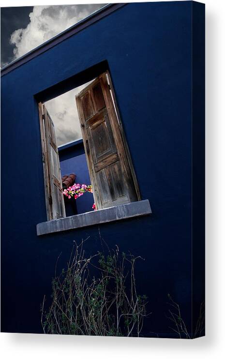 Flowers Canvas Print featuring the photograph Flowers in the Presidio by Joe Kozlowski