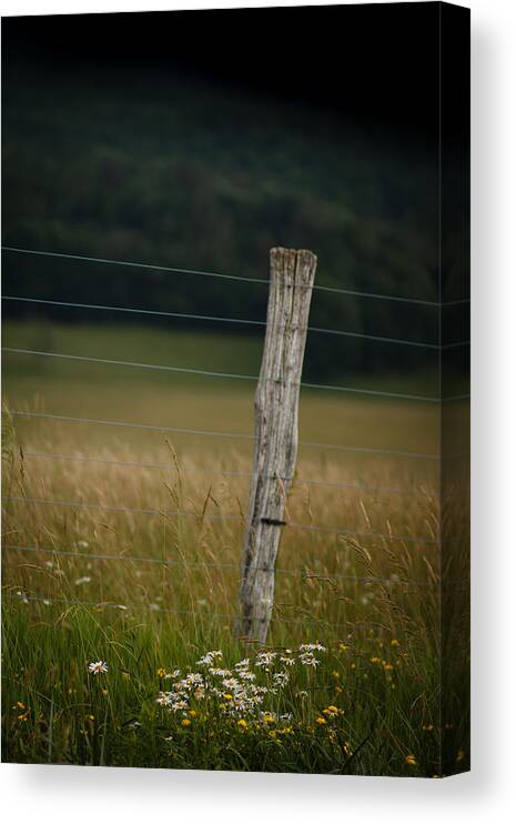 Flowers Canvas Print featuring the photograph Flowers -n- Fences by Shane Holsclaw