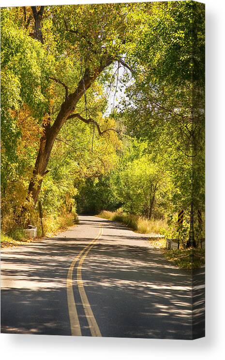 Colorado Canvas Print featuring the photograph Follow the Yellow Lines by James BO Insogna