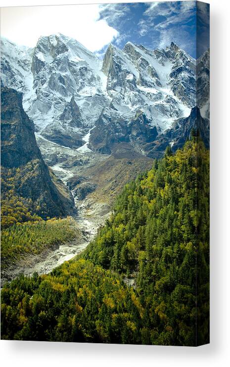 India Canvas Print featuring the photograph Forest and mountains in Himalayas by Raimond Klavins
